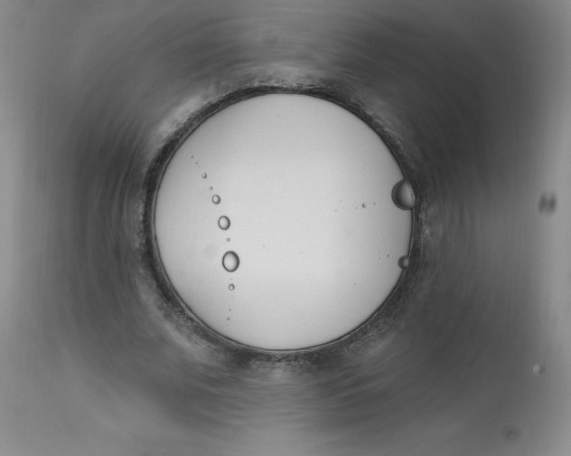 X0000112840679200909111422