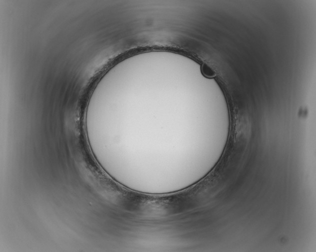 X0000112840680200909111422