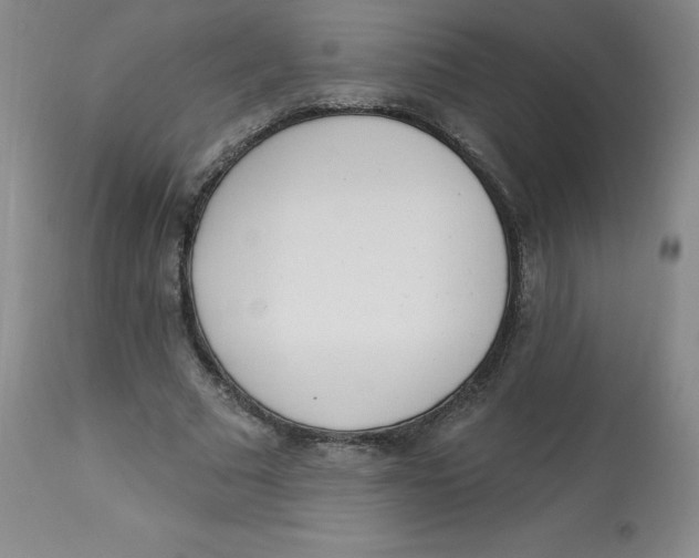 X0000112840681200909111422