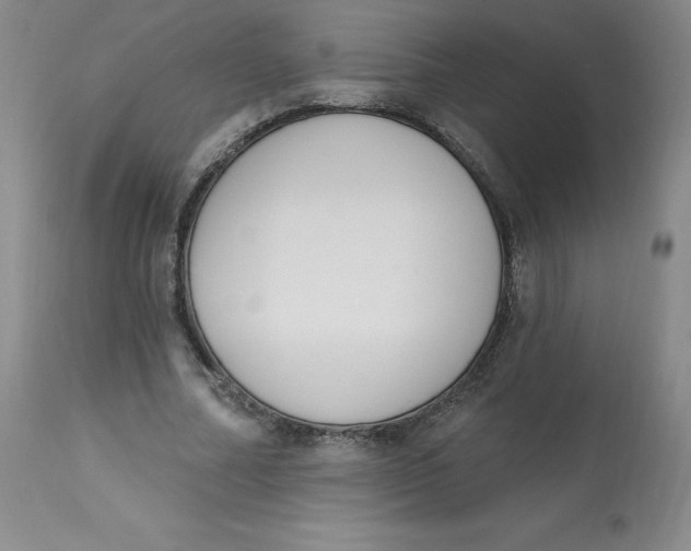 X0000112840682200909111422