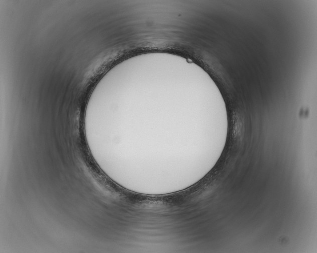 X0000112840685200909111422