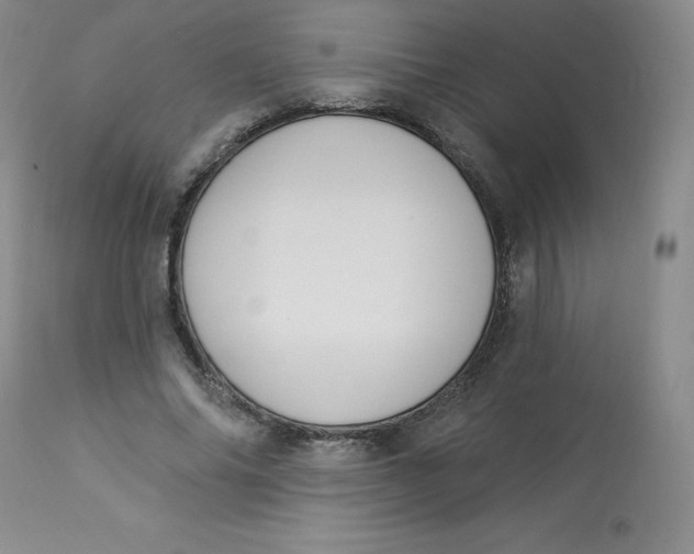 X0000112840686200909111422