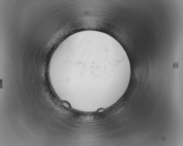 X0000112840687200909111422