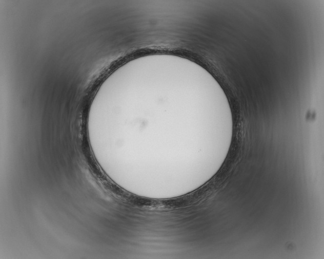 X0000112840688200909111422