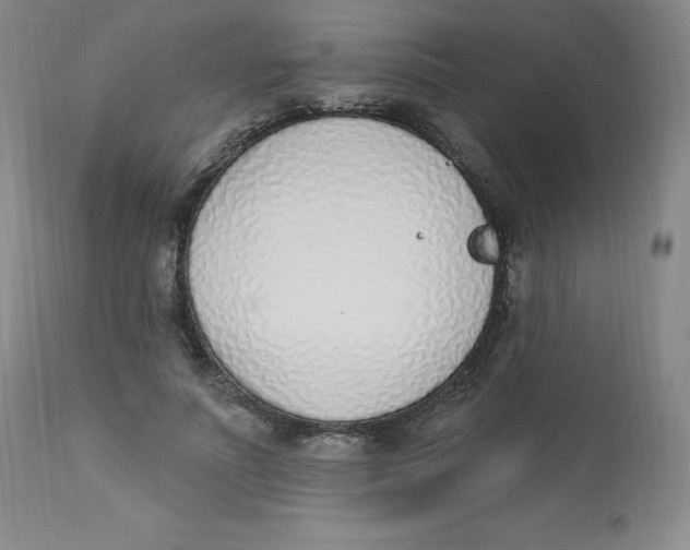 X0000112840691200909111422