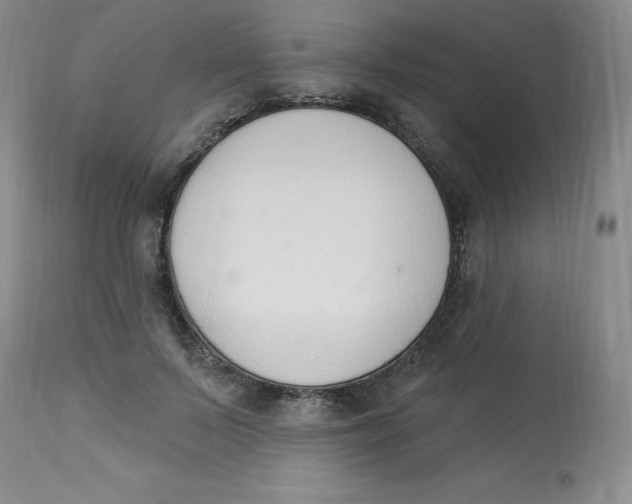 X0000112840695200909111422