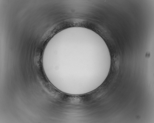 X0000112840698200909111422