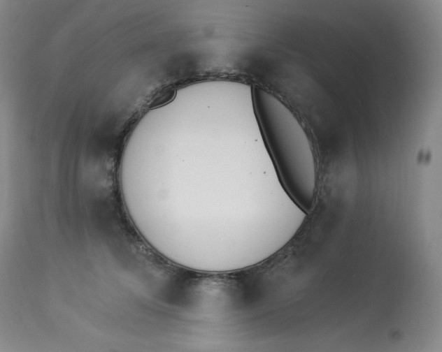 X0000112840708200909111422