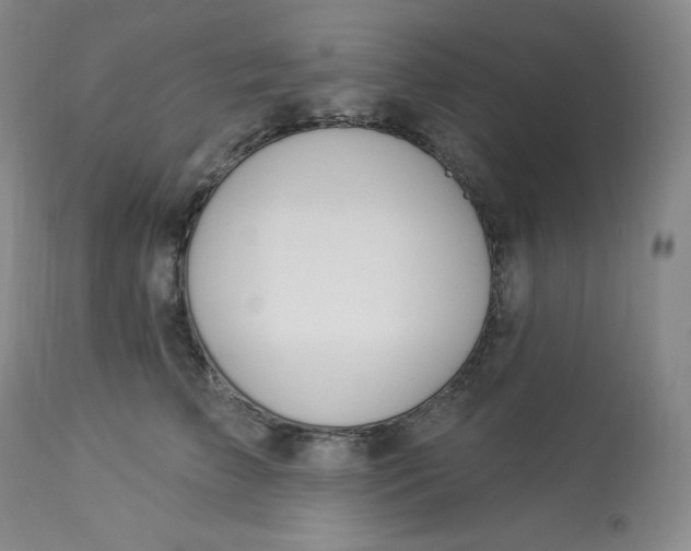 X0000112840709200909111422