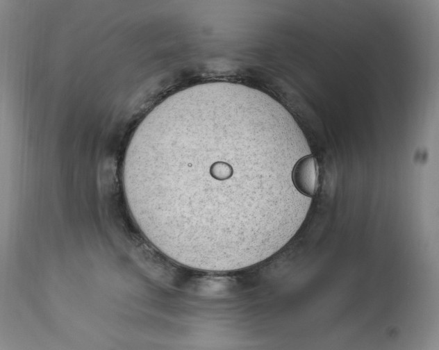 X0000112840711200909111422