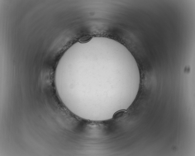 X0000112840712200909111422