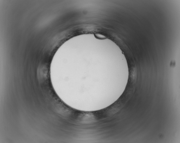 X0000112840715200909111422