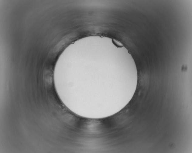 X0000112840719200909111421