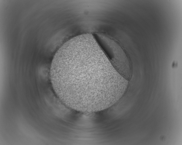 X0000112840720200909111421