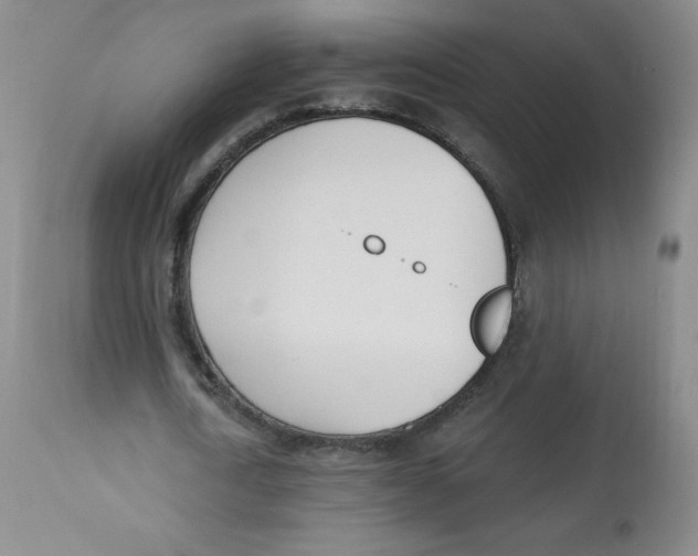 X0000112840722200909111421