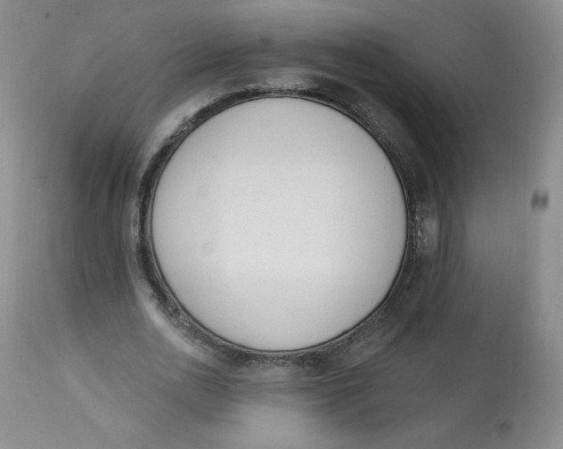 X0000112840726200909111421