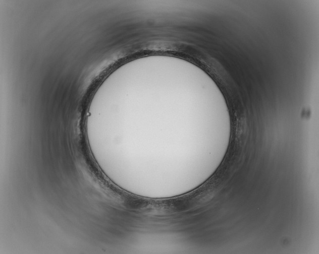 X0000112840727200909111421