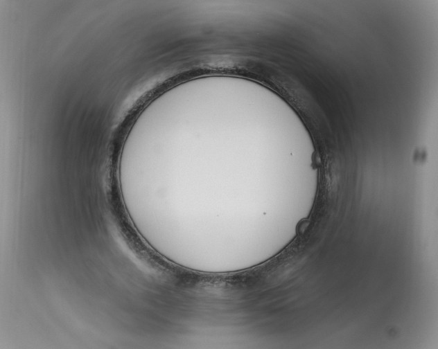 X0000112840728200909111421