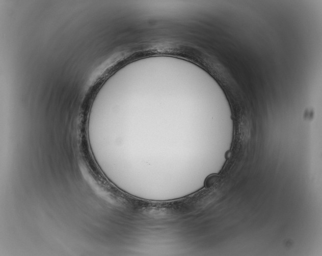 X0000112840730200909111421