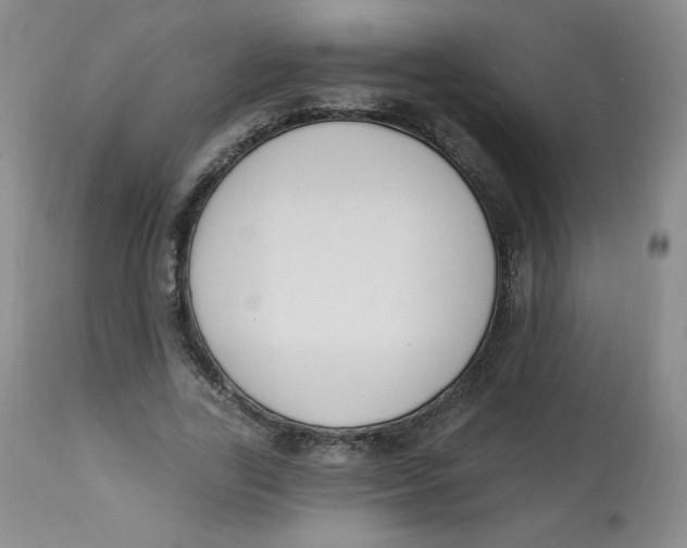 X0000112840731200909111421