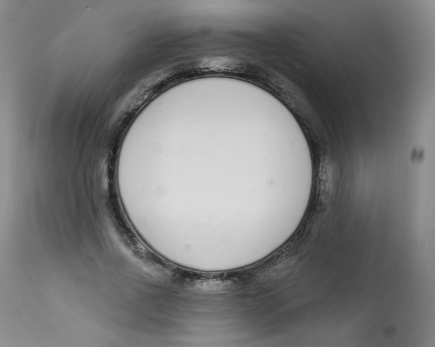 X0000112840734200909111421