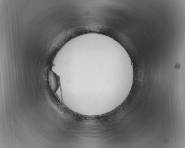 X0000112840738200909111421