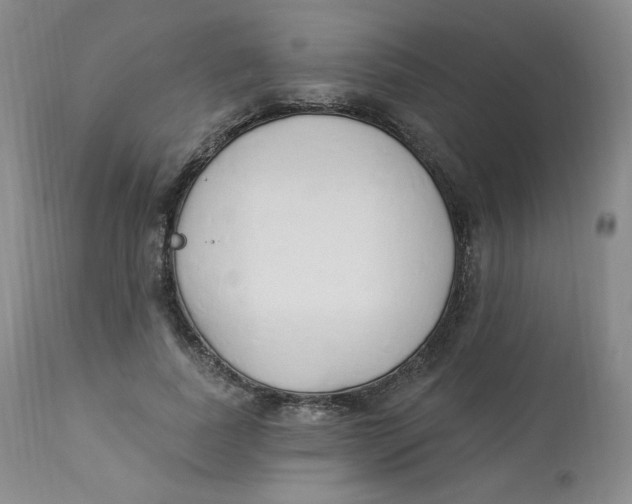 X0000112840739200909111421