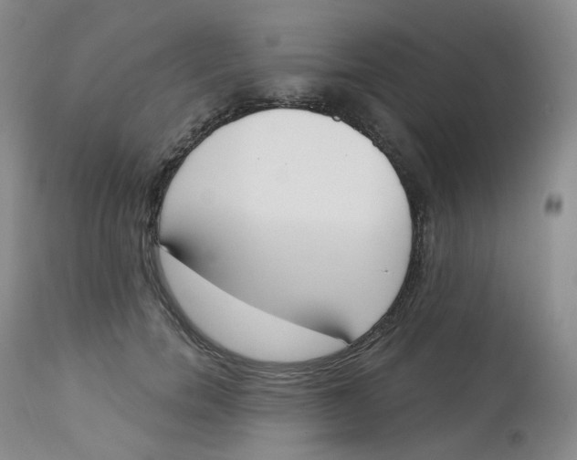 X0000112840750200909111421