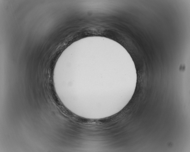 X0000112840752200909111421