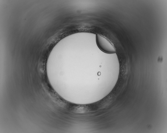 X0000112840755200909111421