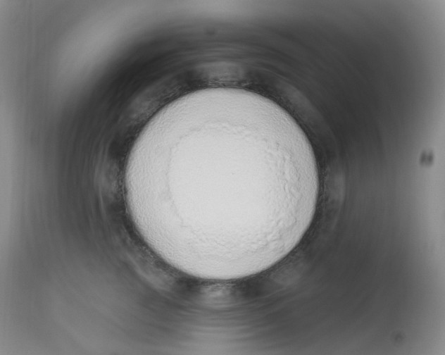 X0000112840761200909111421