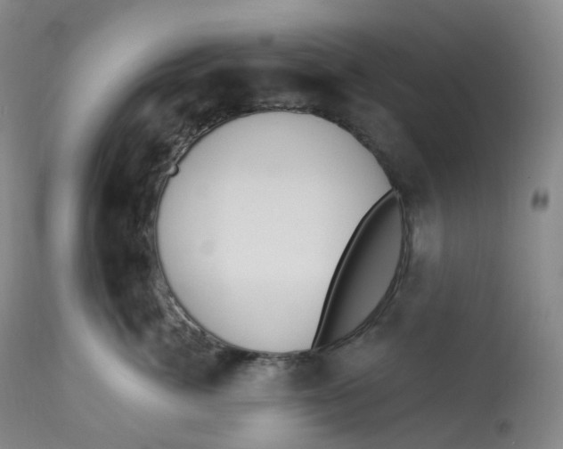 X0000112840764200909111421