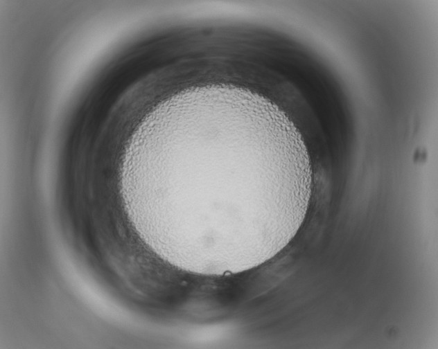 X0000112840765200909111421