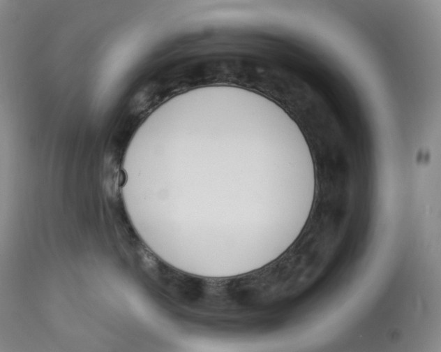 X0000112840766200909111421