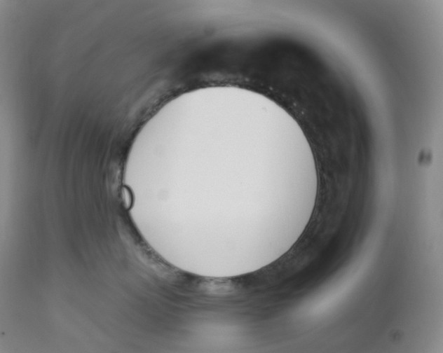 X0000112840767200909111421