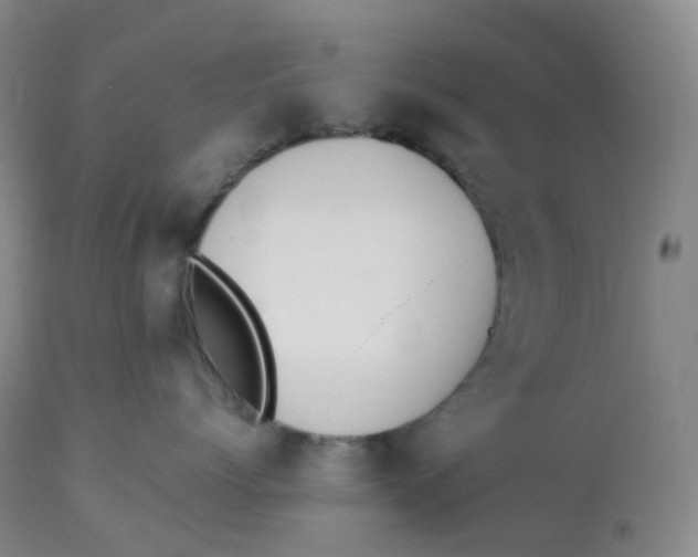 X0000112840768200909111421