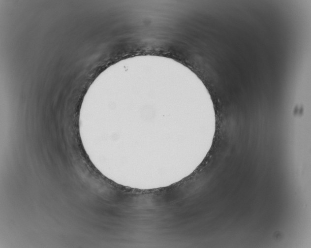 X0000112840769200909111421