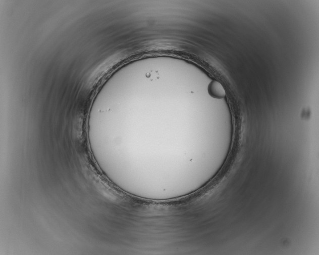 X0000112840777200909111421