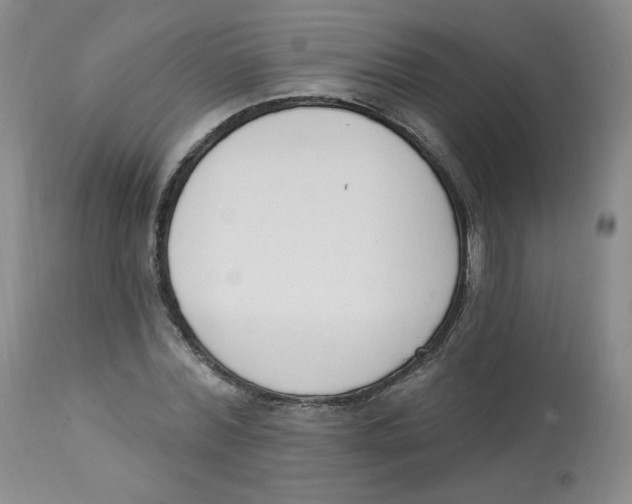 X0000112840780200909111421