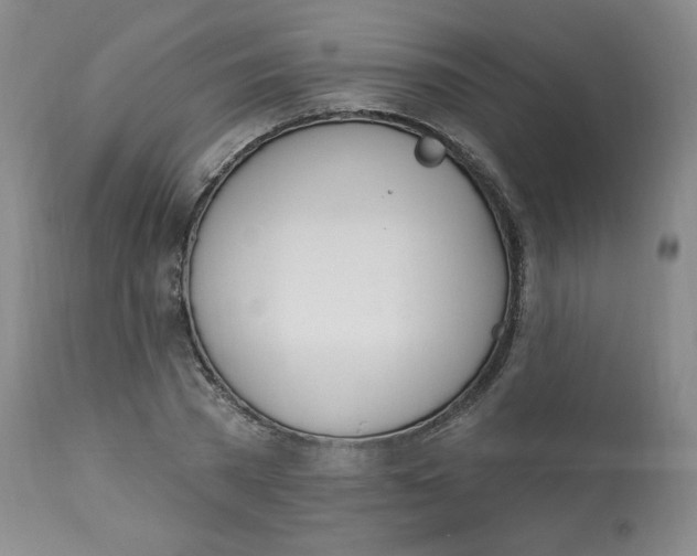 X0000112840785200909111421