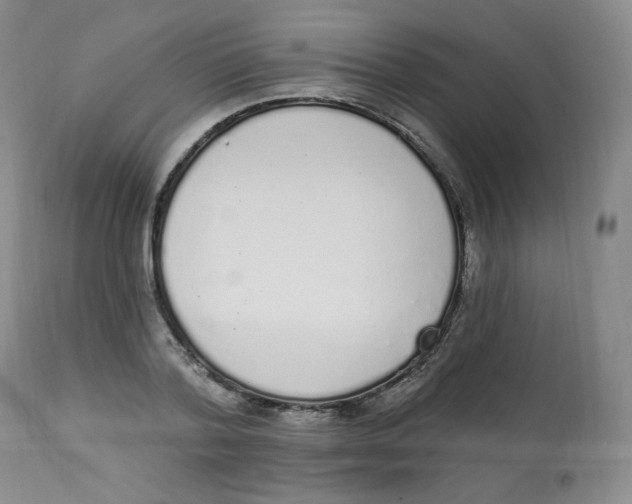 X0000112840788200909111421