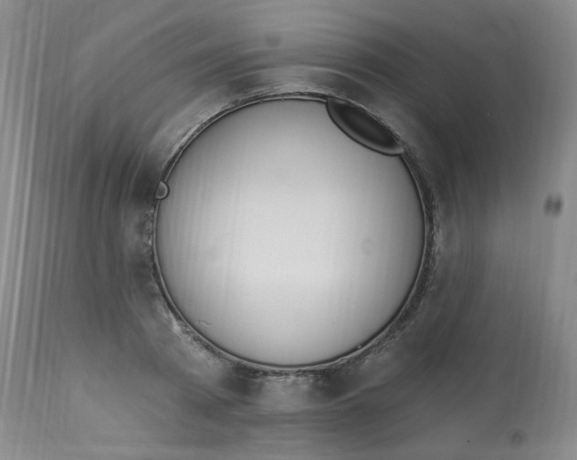 X0000112840793200909111420