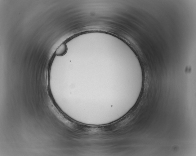 X0000112840796200909111420