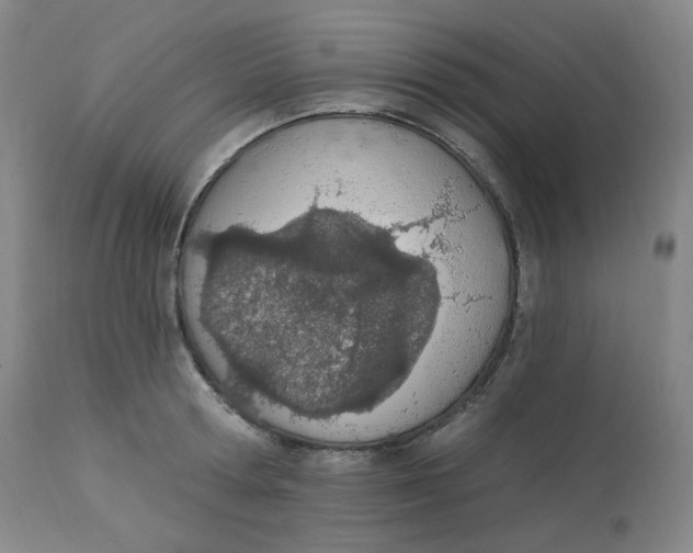 X0000112840802200909111420