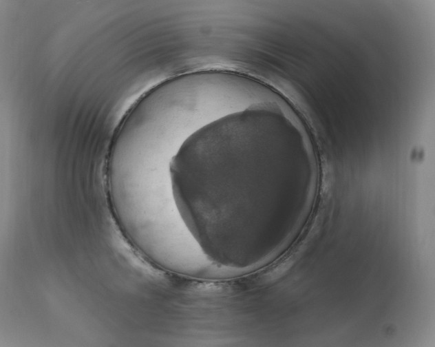 X0000112840806200909111420