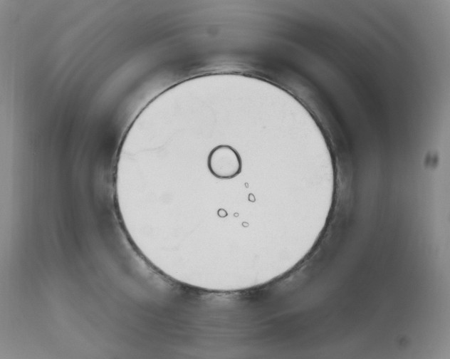 X0000112840810200909111420