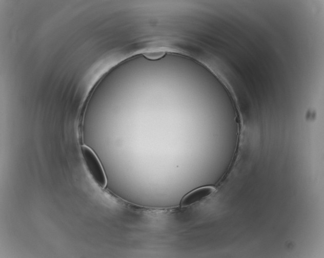 X0000112840813200909111420