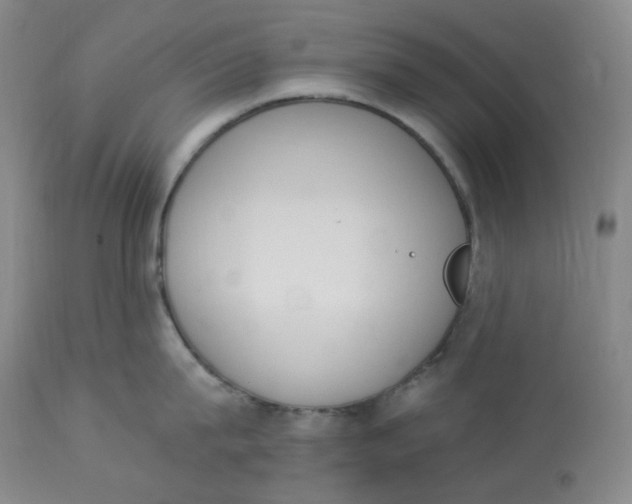 X0000112840815200909111420