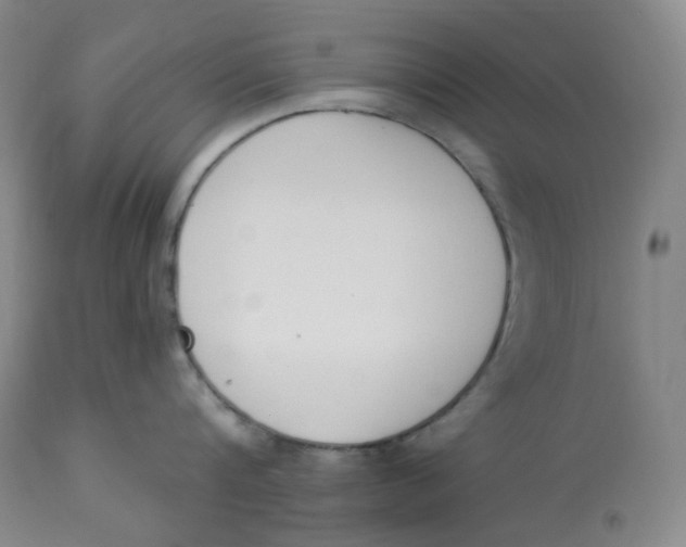 X0000112840816200909111420