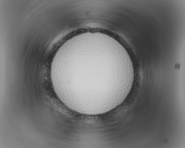 X0000112840823200909111419